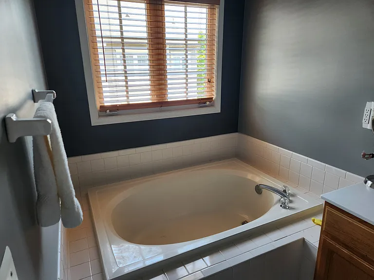 Master bathroom tub (photo 2)