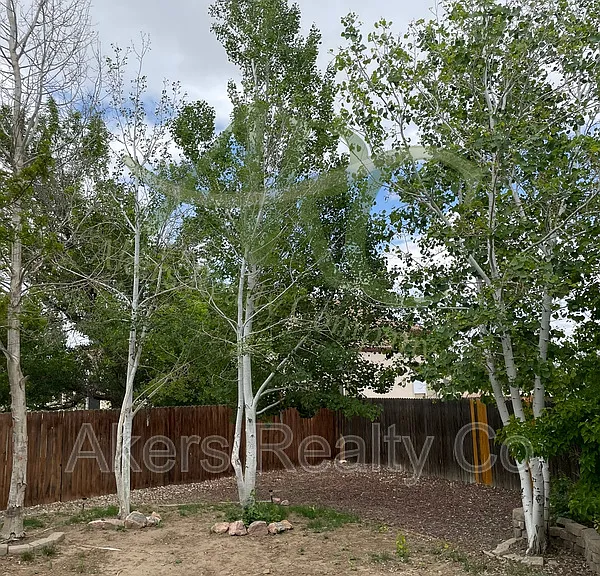 2003 Settlers Dr — Photo 10