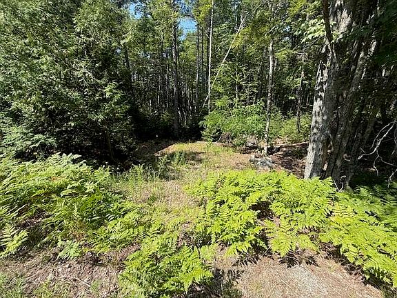5th image of 377 Front Ridge Road