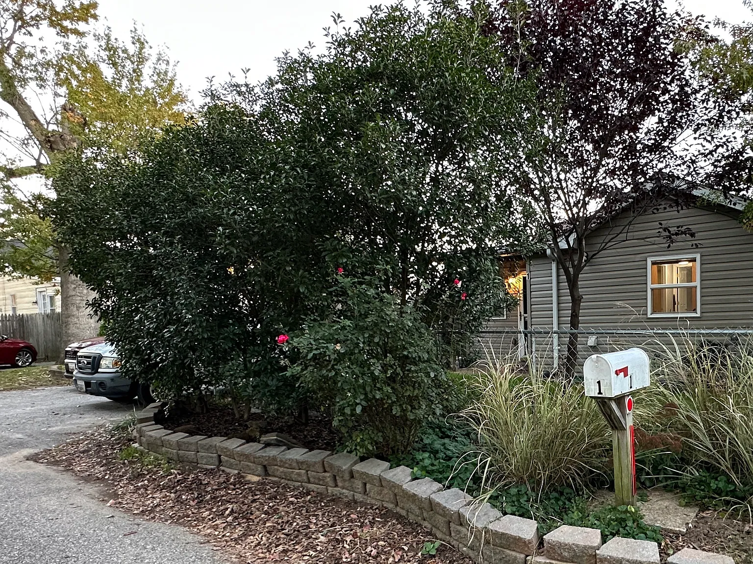 2 bed, 740 sqft, $1,675 — Photo 3