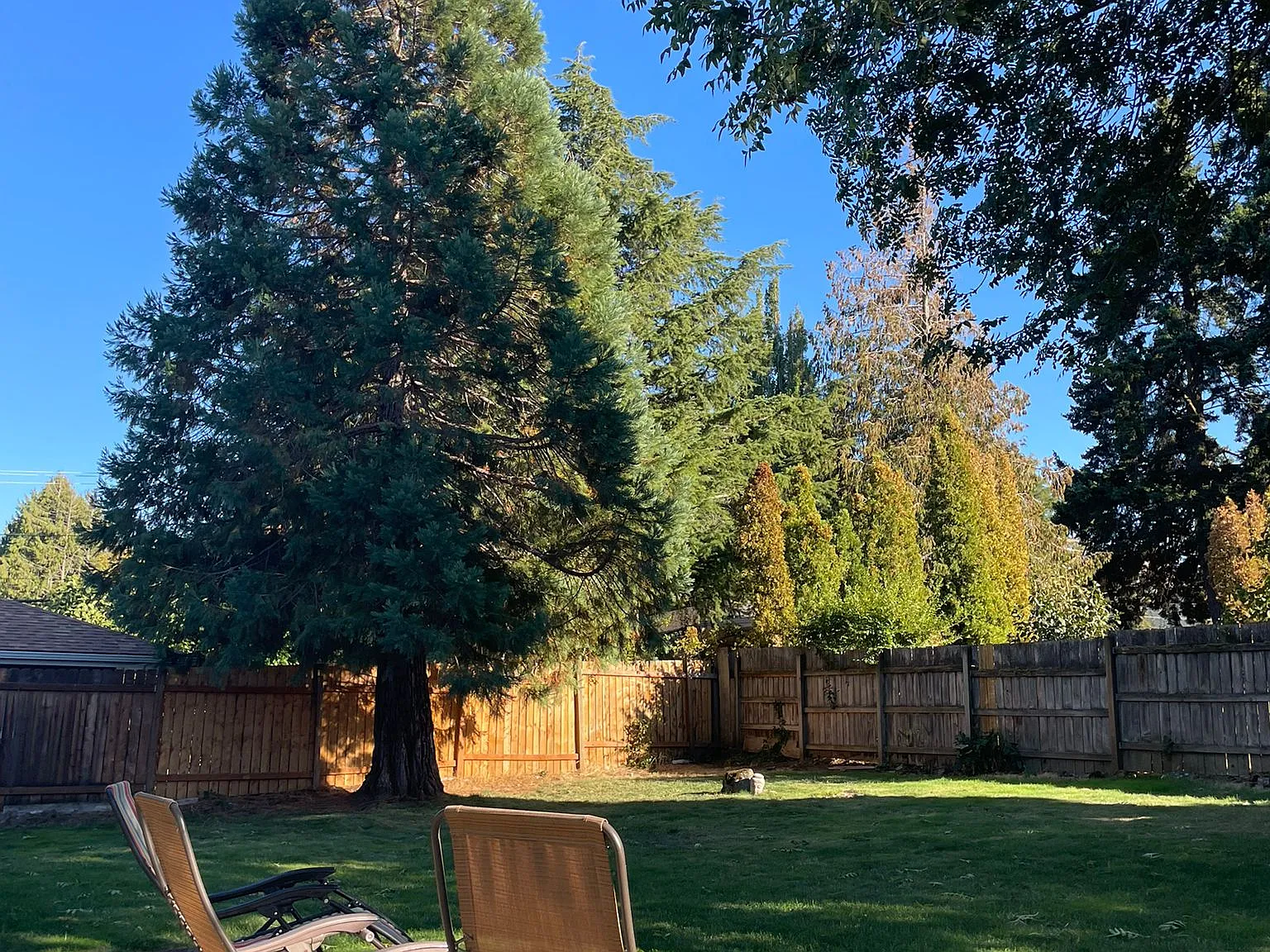 3 bed, 1275 sqft, $5,450 — Photo 1