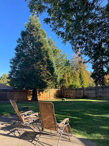 1713 Eugene St Photo 1