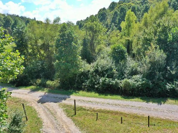 Phillips Cemetery Rd, Helenwood, TN 37755