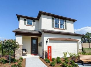 6313 Yellow Buckeye Dr, Riverview, FL 33578