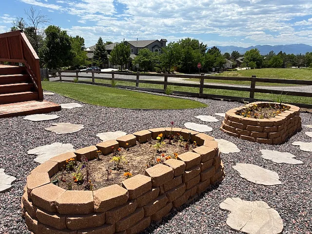 Back Yard 3