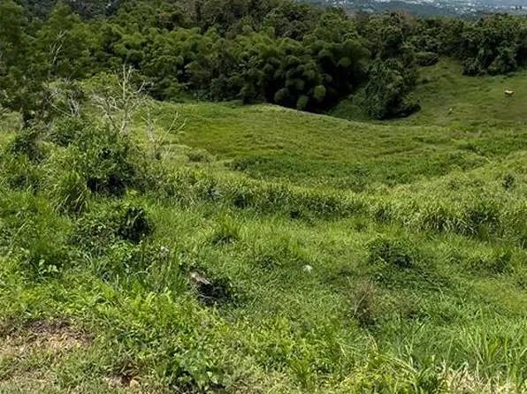 Bo Quemados Carr 7788 Km #Home 2.2, San Lorenzo, PR 00754