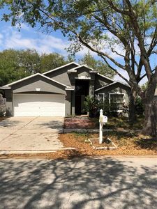 3314 Pine Top Dr, Valrico, FL, 33594