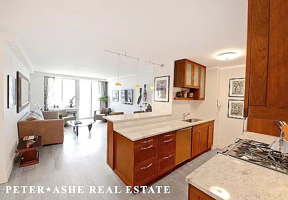 3rd image of 220 E 65th St APT 19F