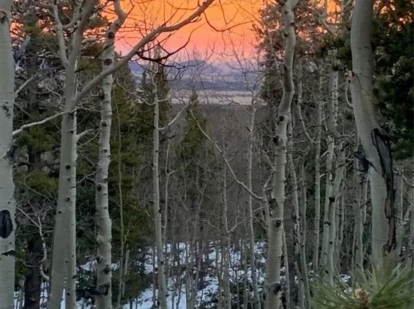 Tbd Vots Dr, Fairplay, CO 80440