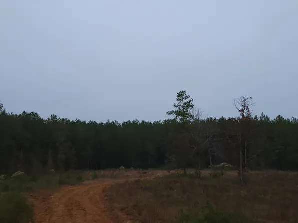 Gains Creek Brewer Rd, Richton, MS 39476