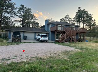 16251 Wind River Pl, Piedmont, SD 57769