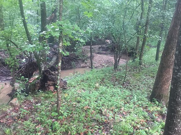 3rd image of 250 River Chase Dr