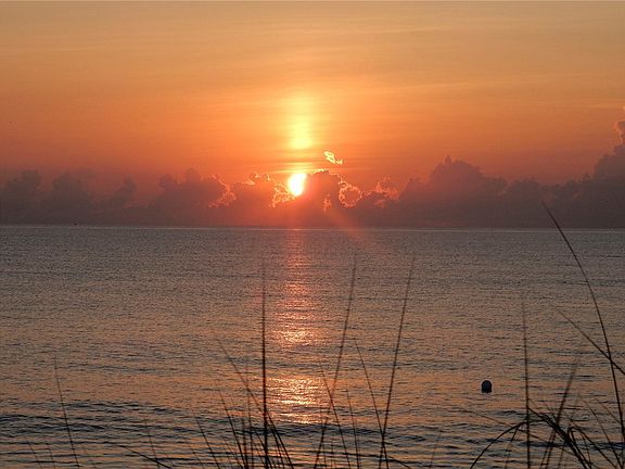4th image of 5601 Jimmy Buffett Mem Hwy #5601305S
