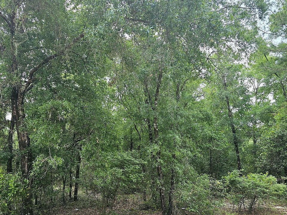 2nd image of 6925 GATORBONE Road