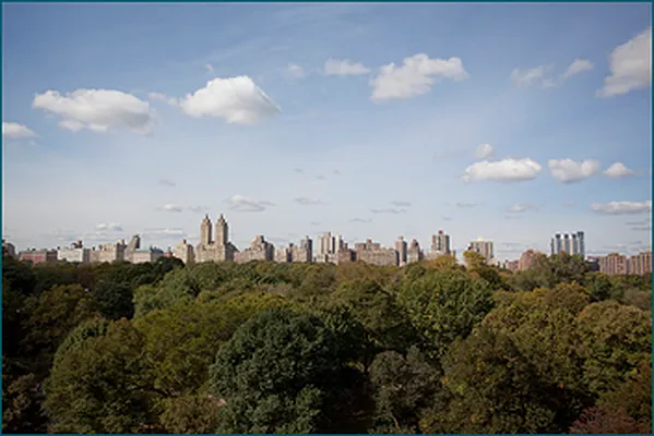 Sold by Brown Harris Stevens | media 7