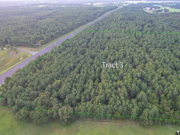 TRACT 3 State Highway 155, Frankston, TX 75763