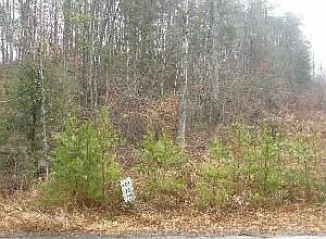 2nd image of 47 Country Cove Ct