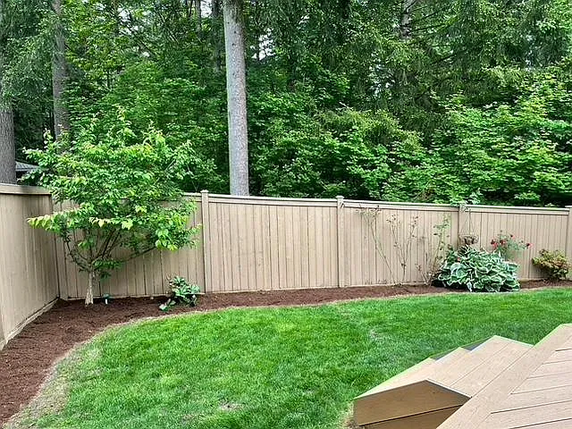 View of the Backyard
