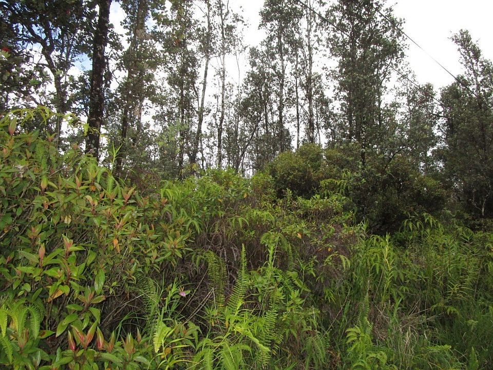 2nd image of Uau Road Rd #5-lot 3870