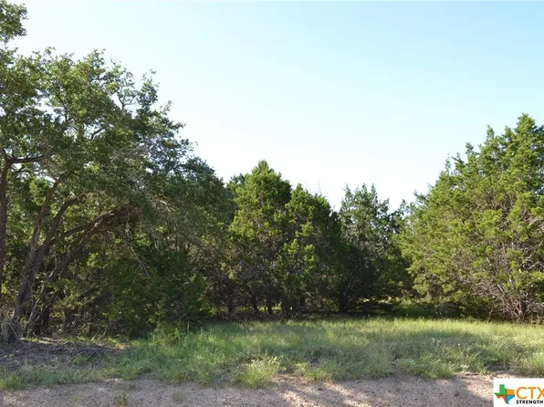 16 Lampasas River Pl, Kempner, TX 76539