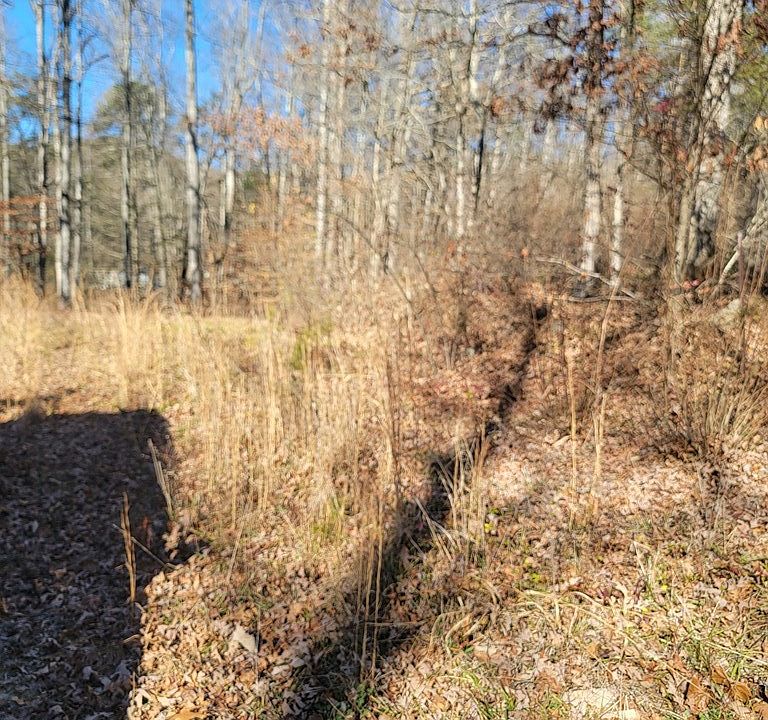 2nd image of 1513 & 1517 Wilhite Creek Rd