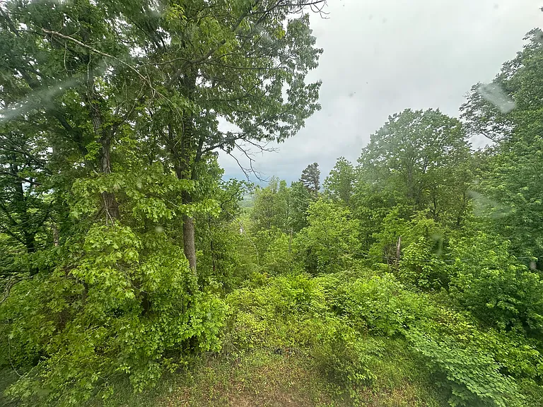 10039 Rockfish Gap Tpke #1 — Photo 16