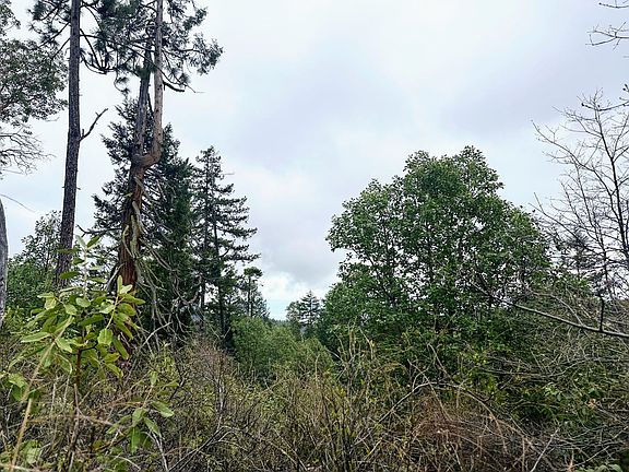 2nd image of 0 Forest Creek Rd #R
