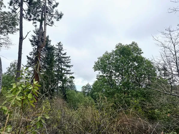 0 Forest Creek Rd #R, Jacksonville, OR 97530