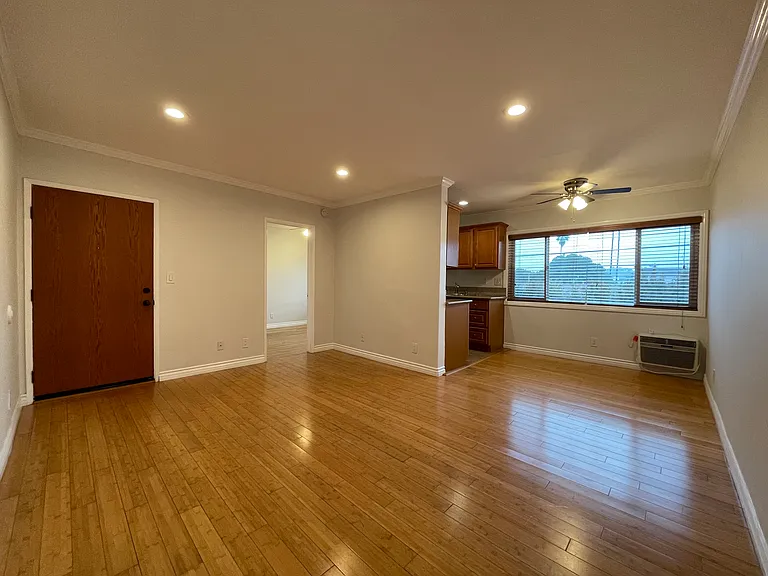 Living room and kitchen