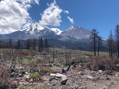 North Slope, Weed, CA, 96094