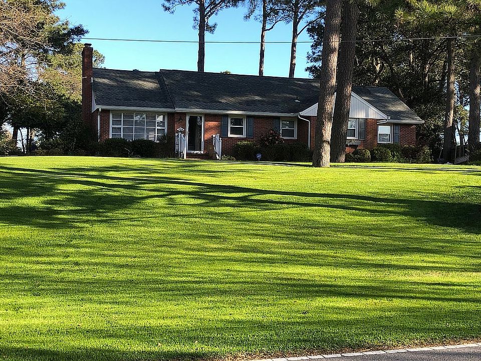 Healthy yard, mature trees