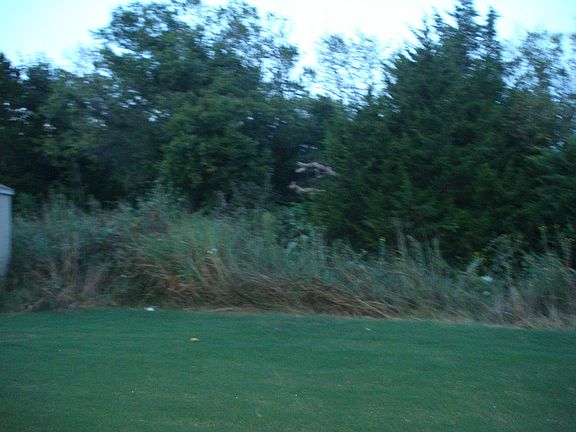 Backyard opens to Creek