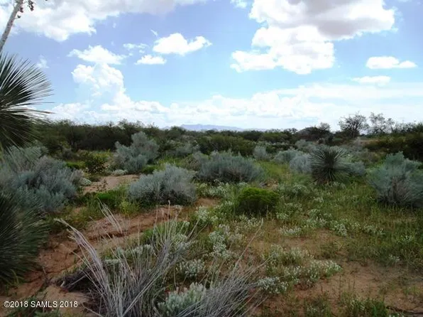 11003 N Legend Trl, Elfrida, AZ 85610