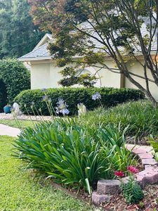 3482 Paces Ferry Rd, Tallahassee, FL, 32309