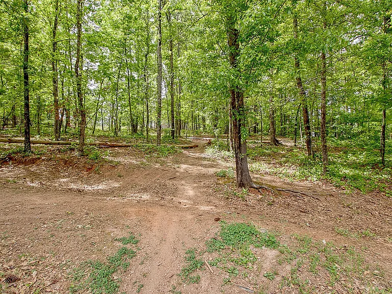 374 Persimmon Dr — Photo 75
