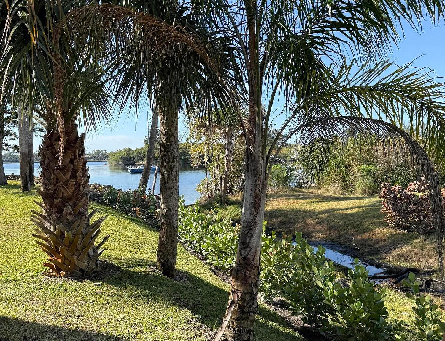 1 bed, 1.0 bath, 732 sqft, $1,900 — Photo 3