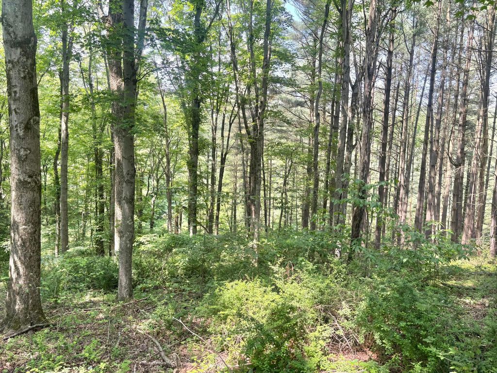 Real estate listing image