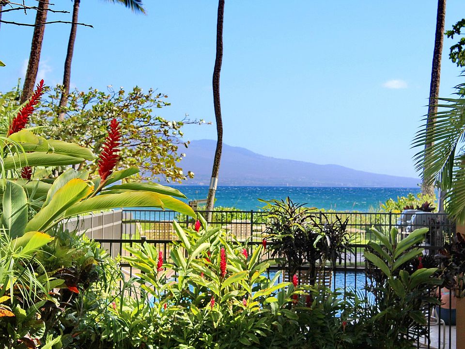 1st image of 300 Hauoli St APT A1