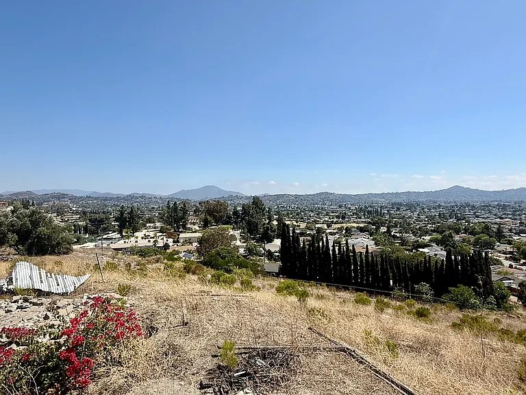 1698 Via Elisa Dr — Photo 37