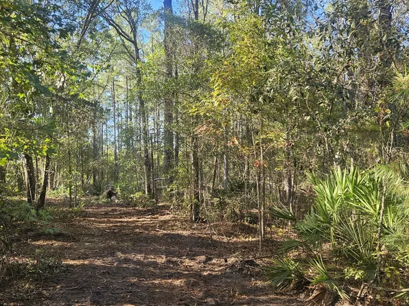 0 Highway 67, Pembroke, GA 31321