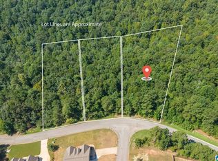 5542 Carrington Lake Pkwy #847, Trussville, AL 35173