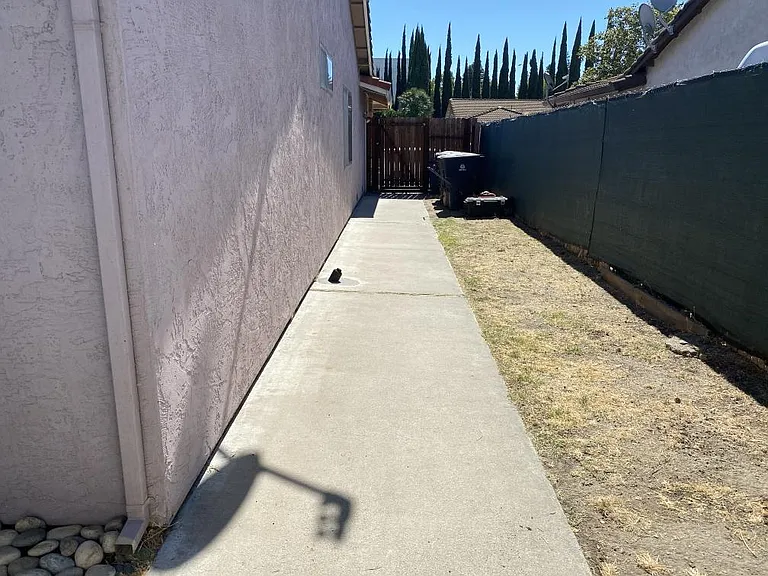 Side yard