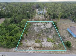1007 Edison Ave, Lehigh Acres, FL 33972