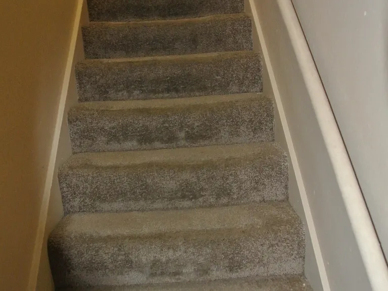 2221 Wentwood Valley Dr #48 — Photo 7