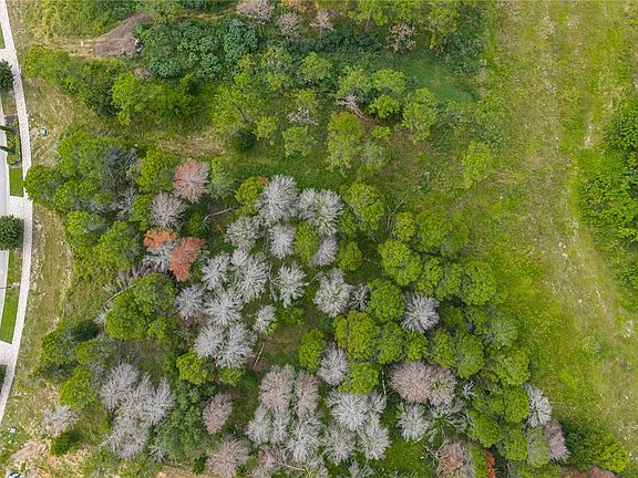 4th image of 16409 PENDIO DRIVE LOT 3
