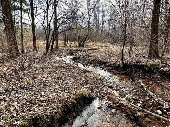 20+- Acres(Lot 2) 15th Street, Clayton, WI 54004