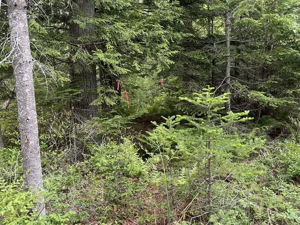 0 Leighs Way Map21Lot92, Freeport, ME 04032