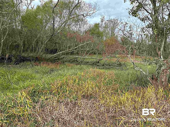3rd image of 18835 Davis Rd