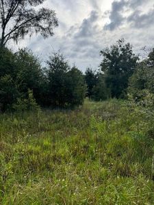 Sportsman Trl #83, Lakeland, FL, 33809