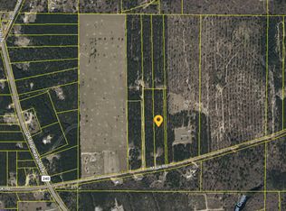 175 Mauk Rd, Mauk, GA 31058